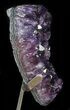Dark Amethyst Crystal Cluster On Stand - Gorgeous #50710-1